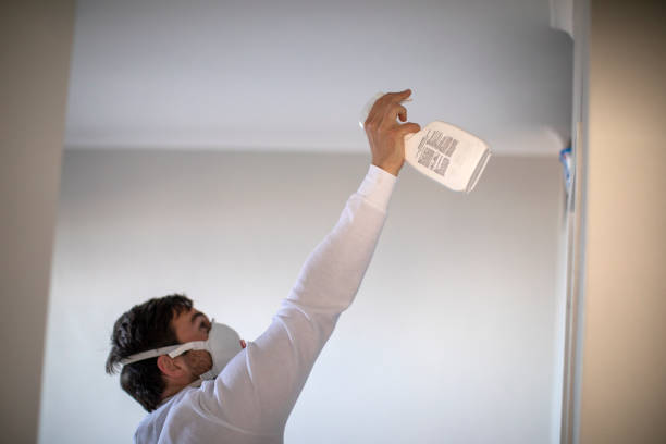 Best Local Mold Removal Service  in Marshall, WI