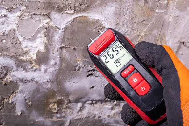 Trusted Marshall, WI Mold Removal Experts