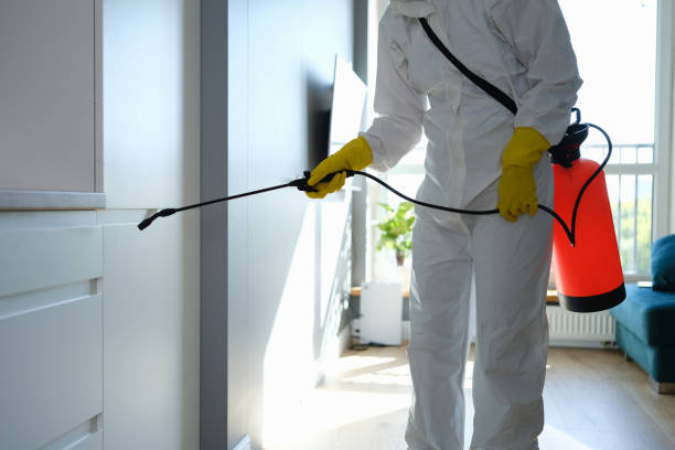 Best Fast Mold Removal  in Marshall, WI