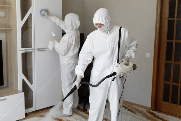 Best Certified Mold Removal  in Marshall, WI